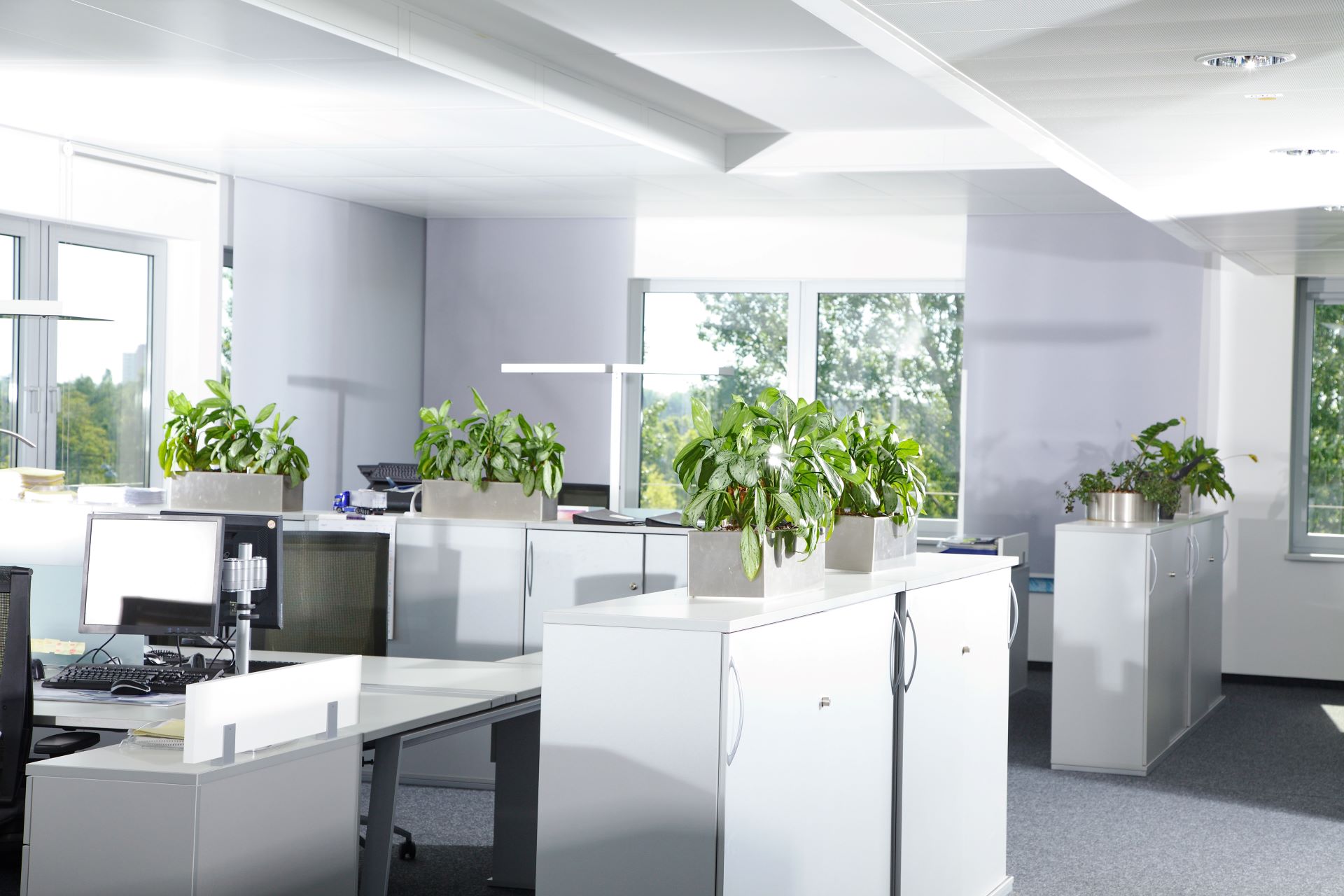Resume Writing Services Ormiston QLD